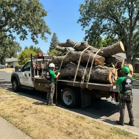 Tree service truck loaded with branches after a Jacksonville job